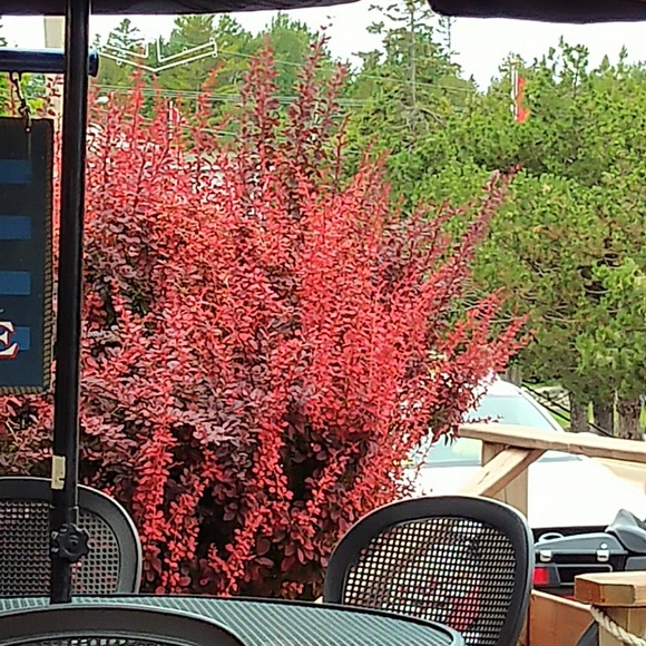 Meet your Posher, Chris - Picture 1 of 1